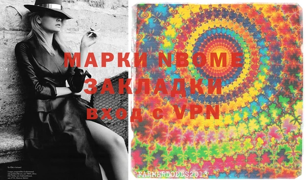 стаф Алзамай