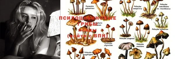 каннабис Россошь