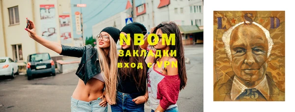 стаф Алзамай