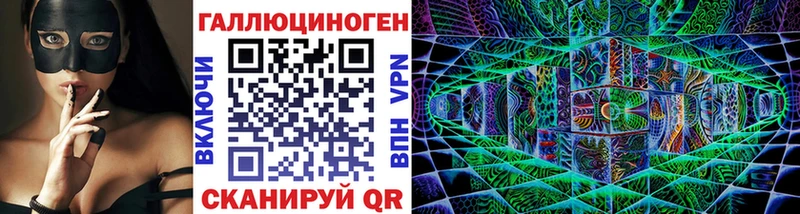 закладка Слободской Псилоцибиновые грибы Psilocybe