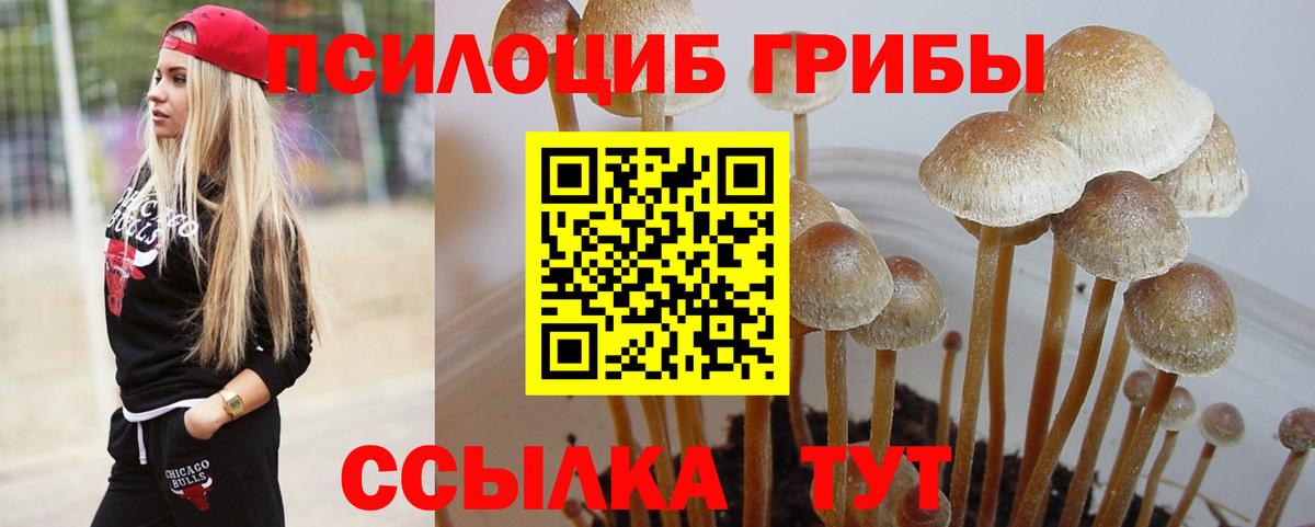 Слободской  Псилоцибиновые грибы мицелий  Вход с VPN 